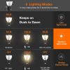Inowel Solar Outdoor Wall Light  LED Lantern IP44 1968