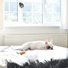 1080P 2.4G WiFi Mini Security Cam Pet Baby Monitor  Night Vis